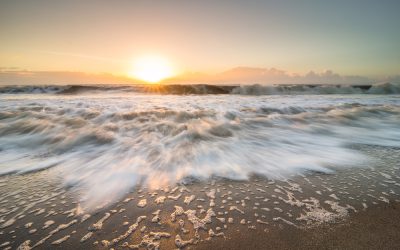 Edisto Beach